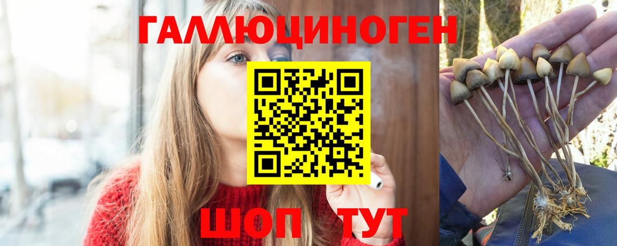 Галлюциногенные грибы прущие грибы Нягань